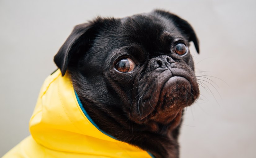 How to deal with&nbsp;overwhelm